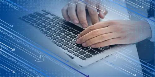 信息技術服務逆勢領漲，新IT持續引領數字化破局